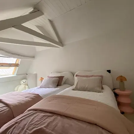 Au Vieux Bassin شقة